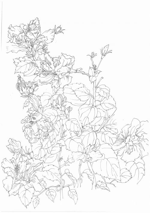 沖縄県立芸術大学学士学位证